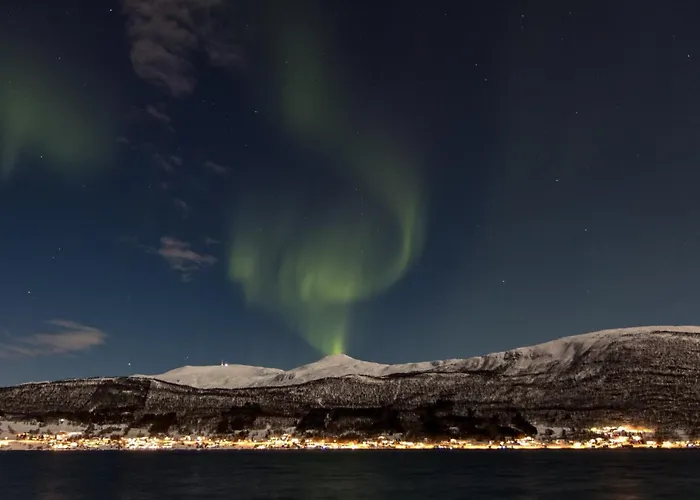 Veien Til Senja