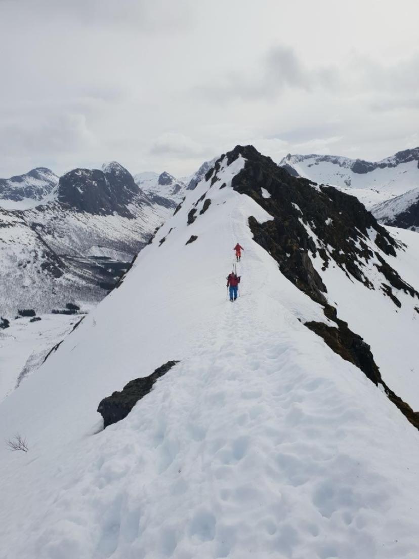 Veien Til Senja Appartement Finnsnes